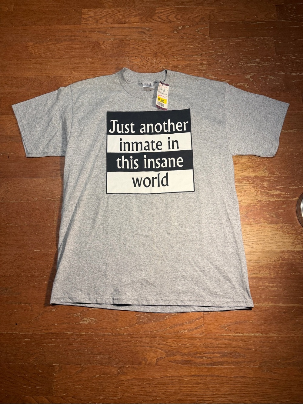 Y2K Just Another Inmate in this Insane World Graphic Tee